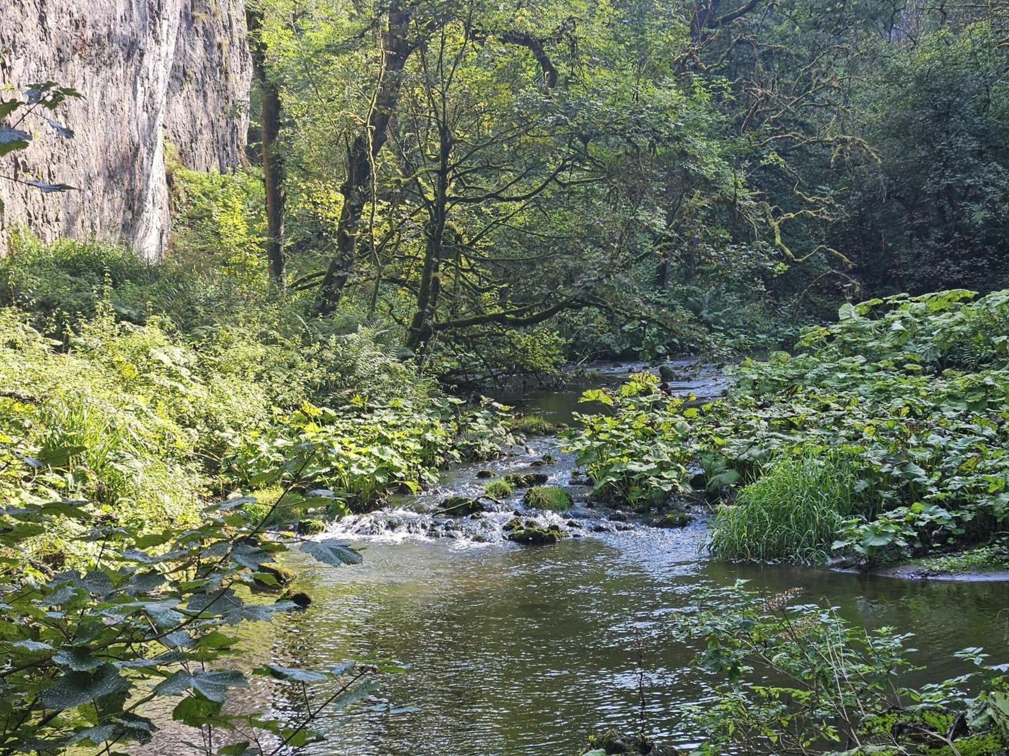 Rose Cottage - Cosy Cottage In Millers Dale بكستون المظهر الخارجي الصورة